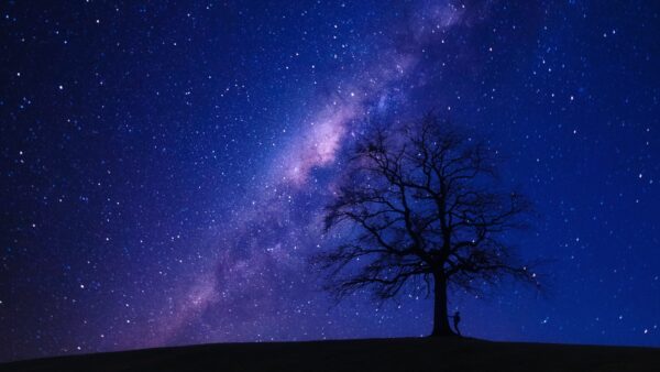 moon sign test